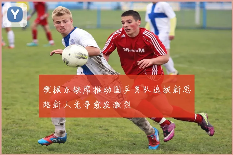 樊振东缺席推动国乒男队选拔新思路新人竞争愈发激烈
